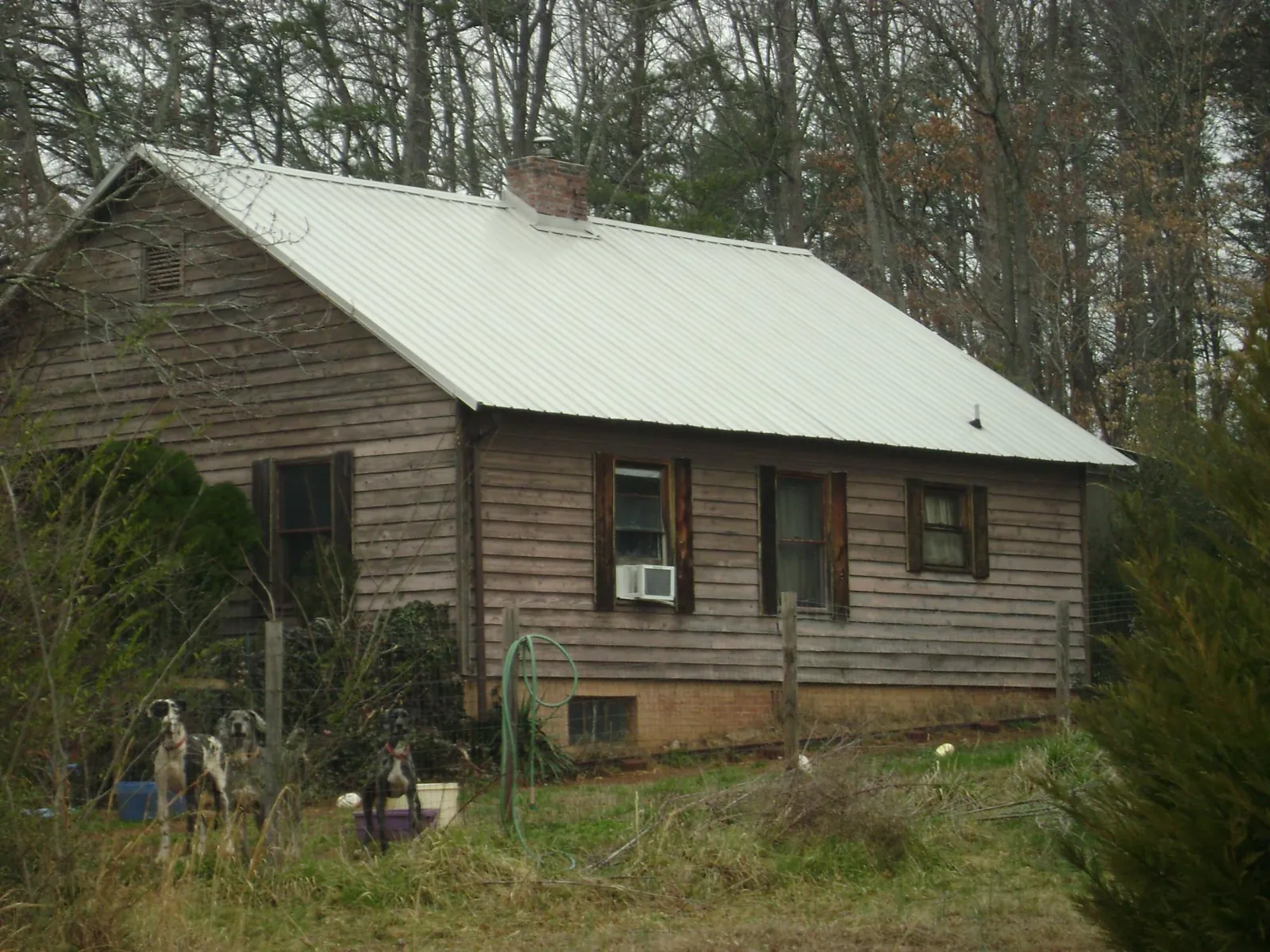 White metal roof on an old wood sided farmhouse, from a Asphalt Shingle Roof Repair job in Bethel